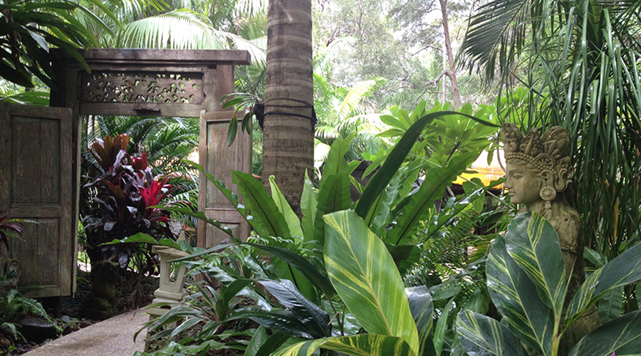 Tropical gardens at Ikatan Spa Noosa